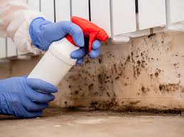 Best Mold Damage Restoration  in Pelham, AL